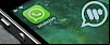 WhatsApp Watusi