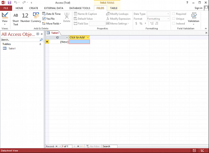 Microsoft Access 2013